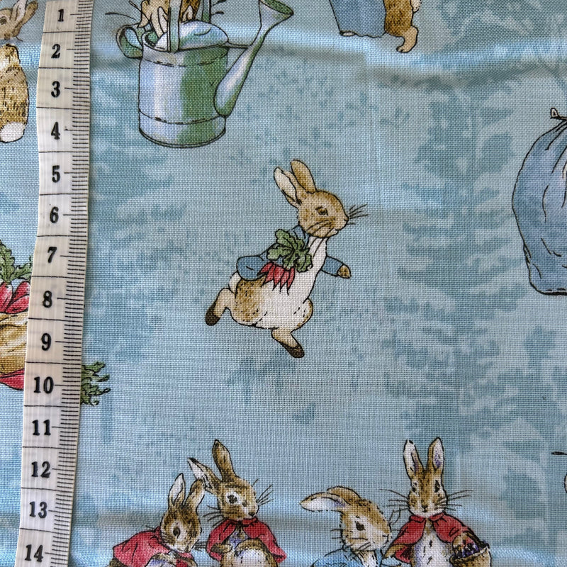 Peter Rabbit Scrub top