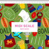 Lions scrub top (Pre-order)