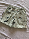 Dinosaur Shorts